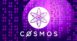 Cosmos Community Announces its Month-long October Codefest