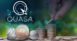 QUASA AIO fundraising in the form of a crypto auction