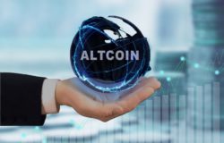 Top 2 Altcoins That Has Dominated The Crypto Market In 2022