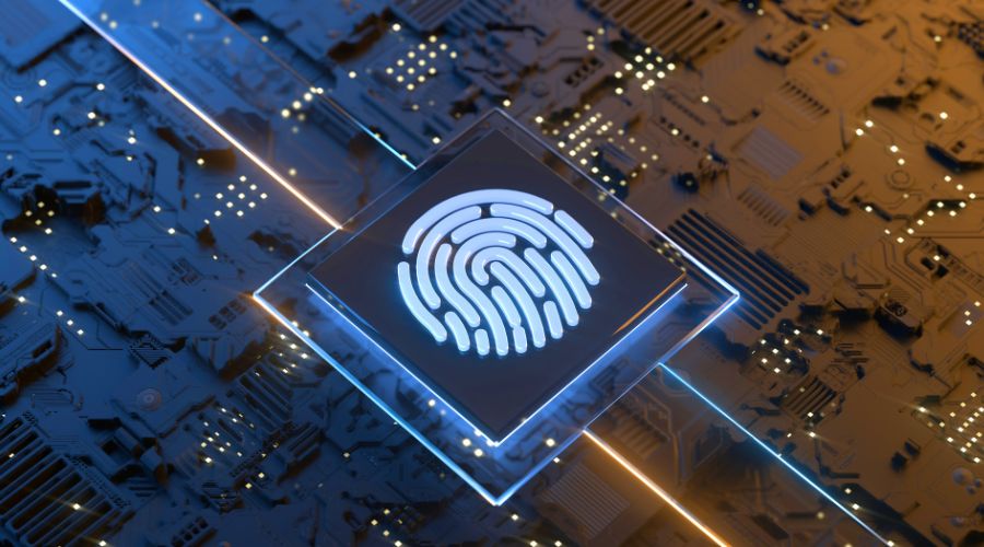 Digital Identity Venture Punk Domains Joins Forces with Flare, Celebrates Extensions Launch