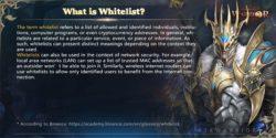 Crypto Whitelist: Understanding The Concept And How To Get Whitelisted 3 Fof4uftacAcKyN3