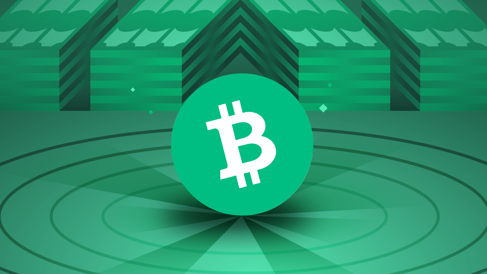 Bitcoin Cash Future Of Bitcoin