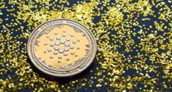 Everything You Need To Know About Cardano In 2023