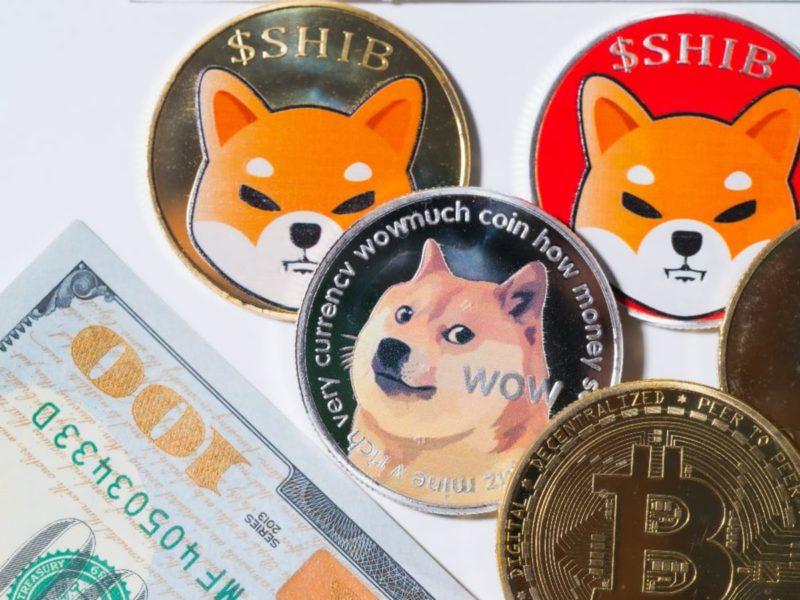 From Meme Coin To Crypto Phenomenon "The Journey of Shiba Inu" 7 Shiba Inu