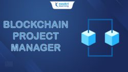 what is blockchain project manager